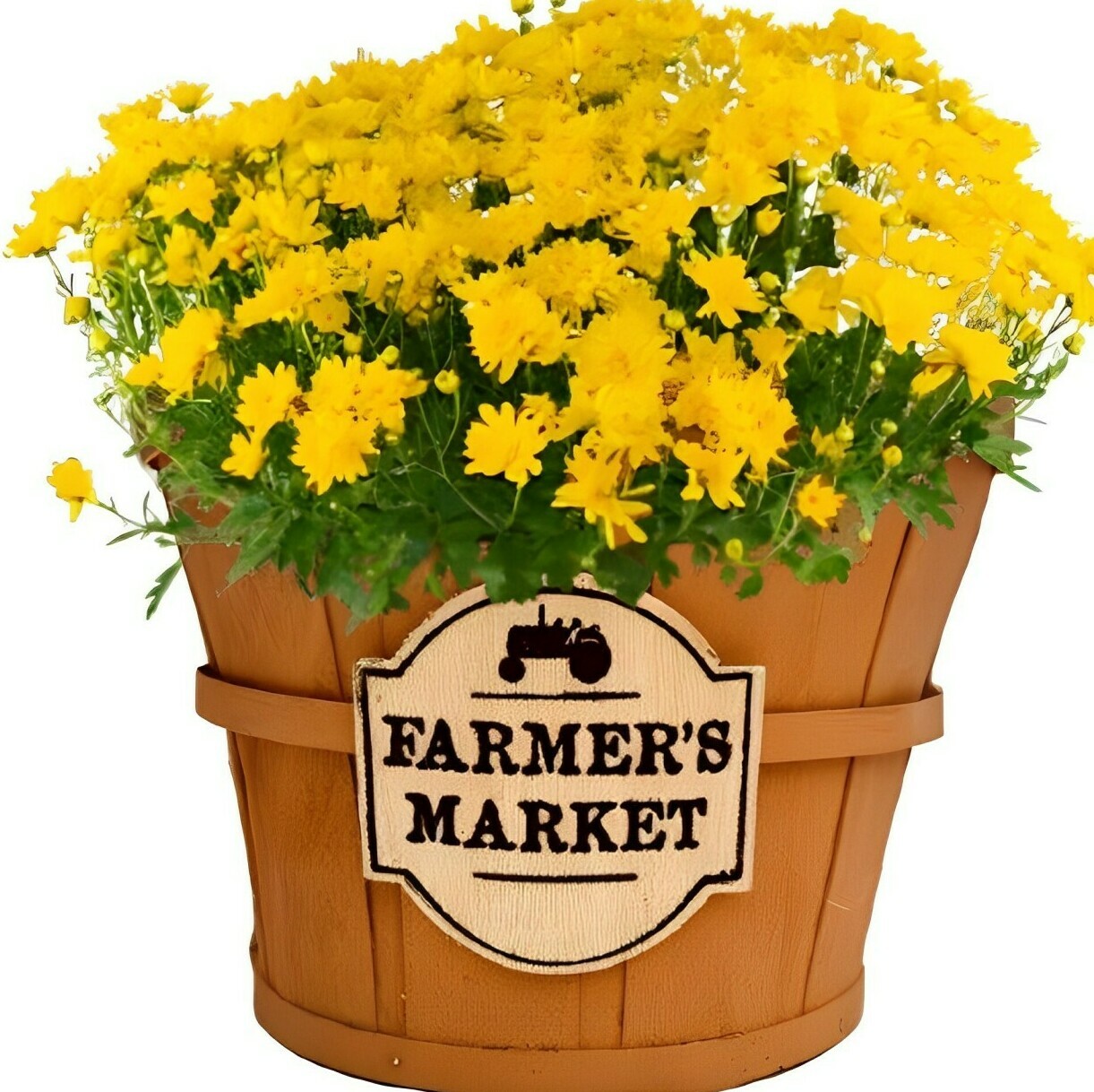 8" Mum Farmer's Market Basket